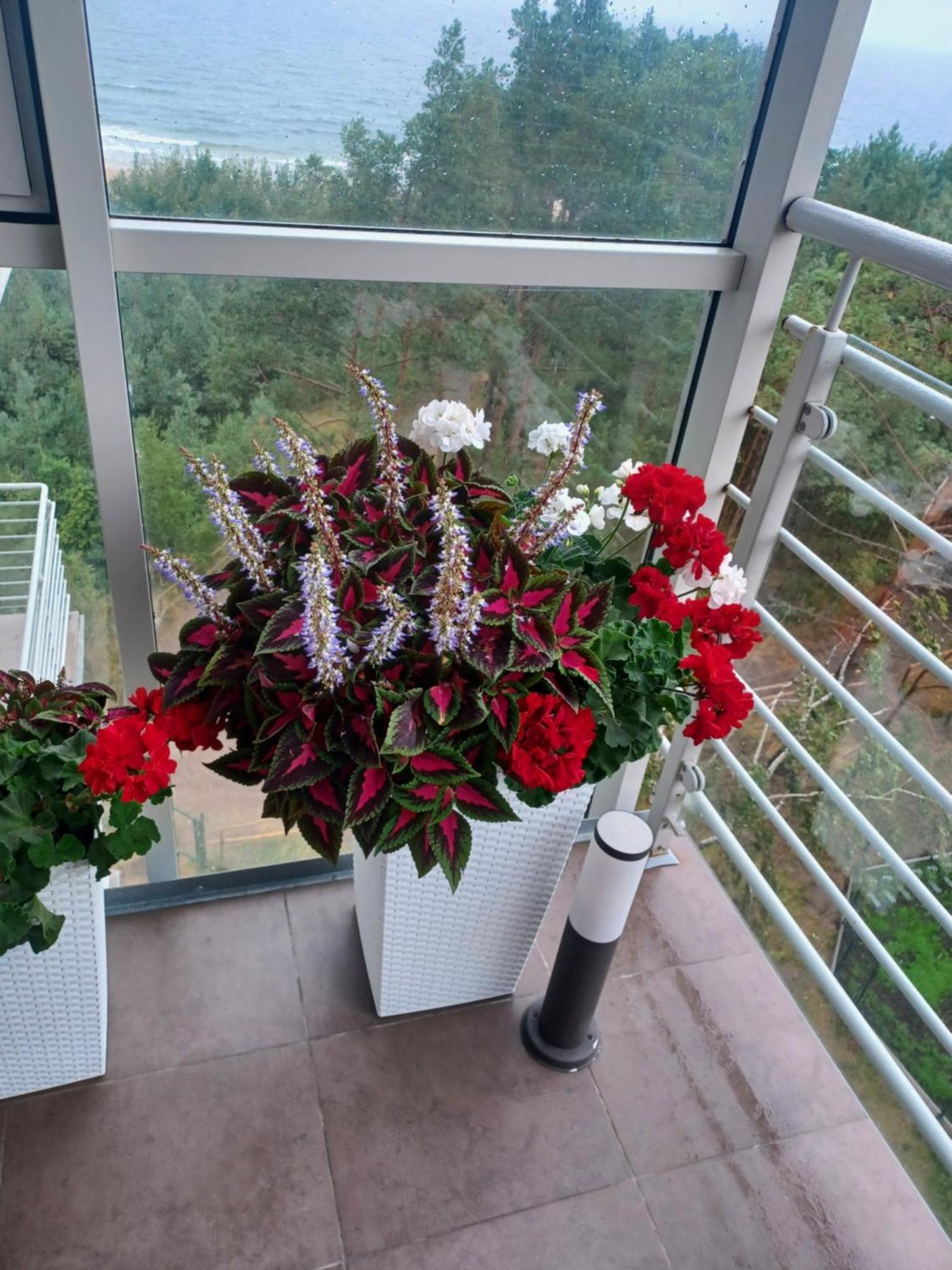 Apartament Z Widokiem Na Morze Dziwnówek Habitación foto