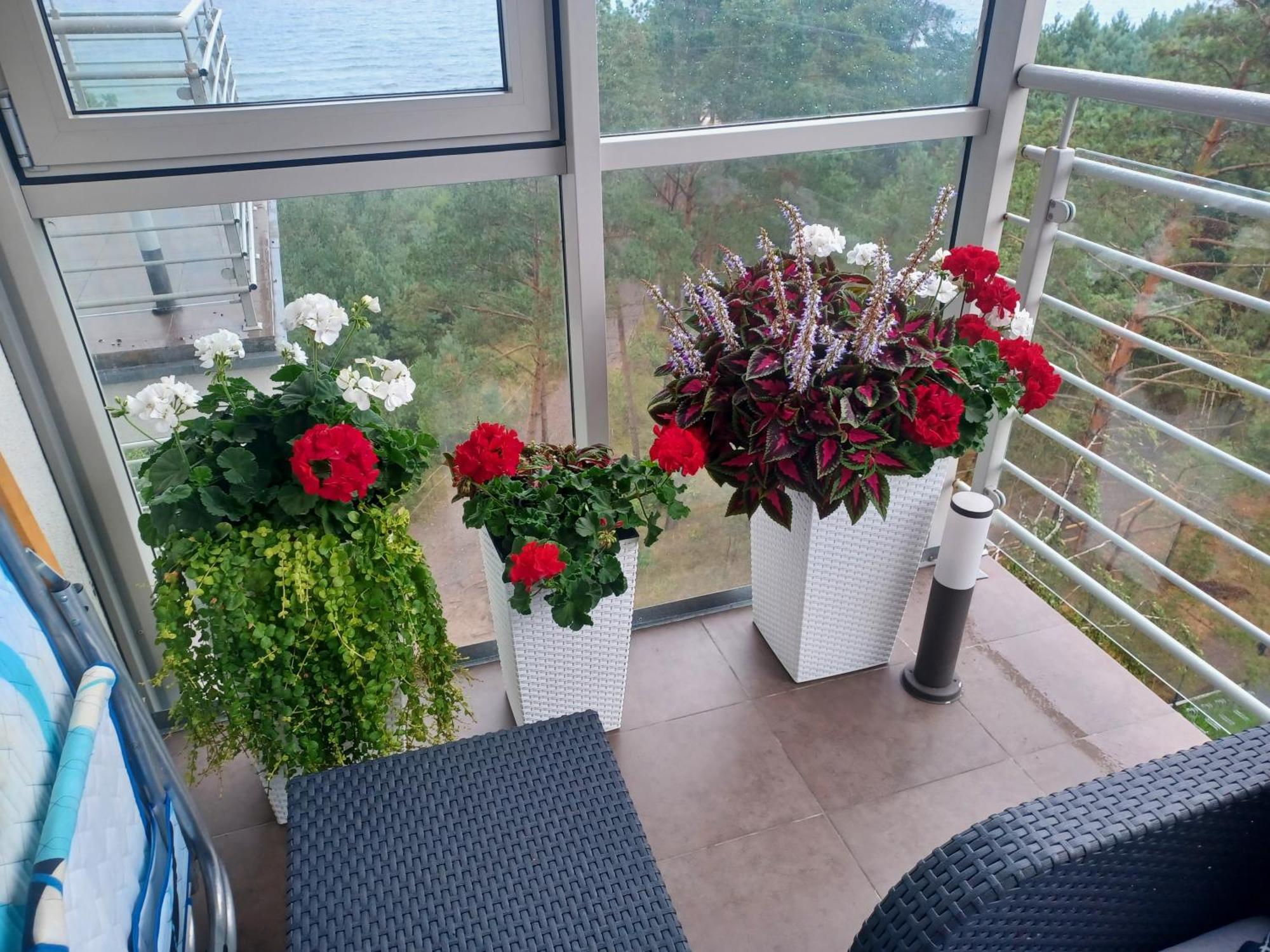 Apartament Z Widokiem Na Morze Dziwnówek Habitación foto